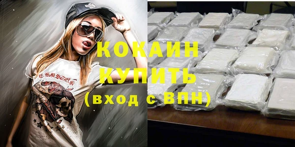 стаф Карпинск